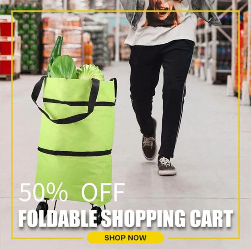 2-IN-1 FOLDABLE SHOPPING CART